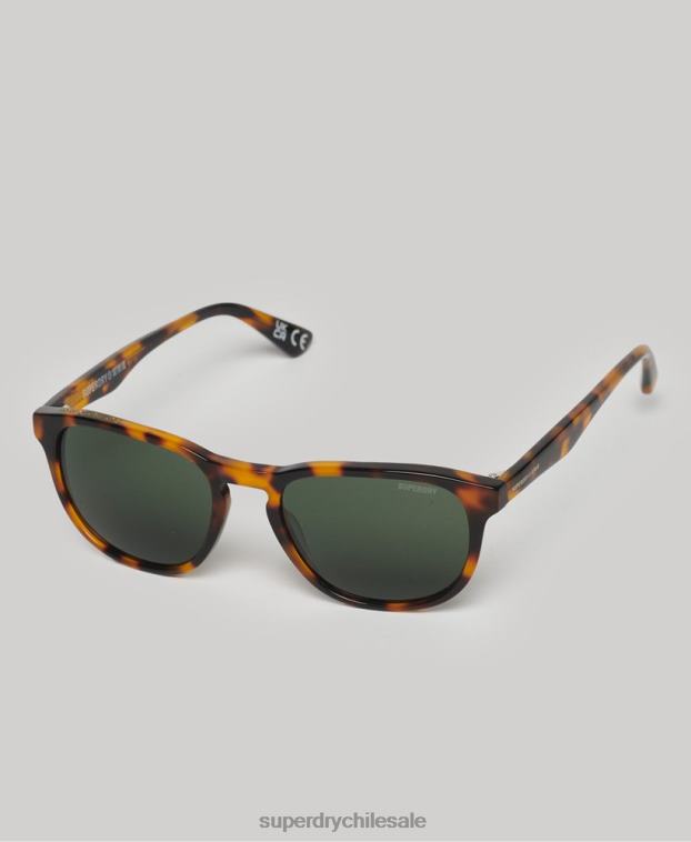 mujer Superdry marrón gafas de sol sdr camberwell 2R68Z1990